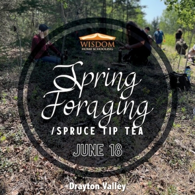 Survival: Spring Foraging/Spruce Tip Tea D - Drayton